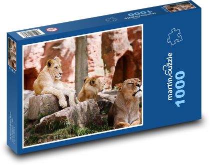 Lwice - ssaki, bestie - Puzzle 1000 elementów, rozmiar 60x46 cm