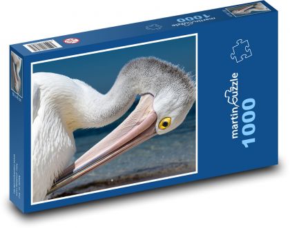 Pelikán - vodný vták, zviera - Puzzle 1000 dielikov, rozmer 60x46 cm