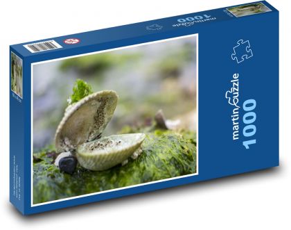 Mušle - morské riasy, mach - Puzzle 1000 dielikov, rozmer 60x46 cm