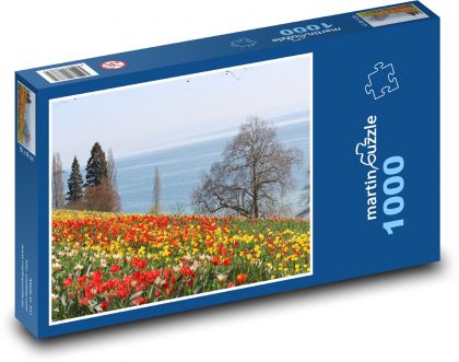 Mainau Island - Bodamské jazero, tulipány - Puzzle 1000 dielikov, rozmer 60x46 cm