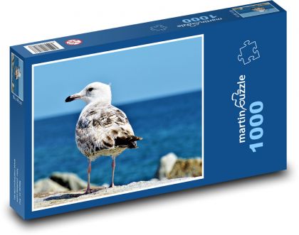 Racek - pták, baltské moře  - Puzzle 1000 dílků, rozměr 60x46 cm
