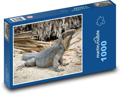 Iguana - lizard, animal - Puzzle 1000 pieces, size 60x46 cm 