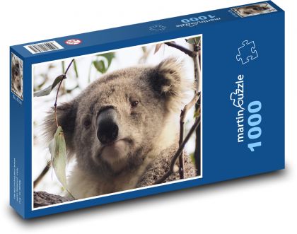 Koala - zvíře, strom - puzzle 1000 dílků