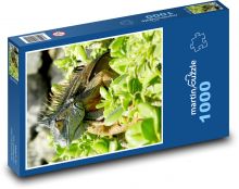 Kaimaninseln - Leguan, Reptil Puzzle 1000 Teile - 60 x 46 cm
