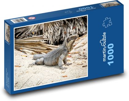 Legwan - jaszczurka, tropiki - Puzzle 1000 elementów, rozmiar 60x46 cm