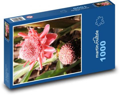 Passionflowers - rainforest, flowers - Puzzle 1000 pieces, size 60x46 cm 