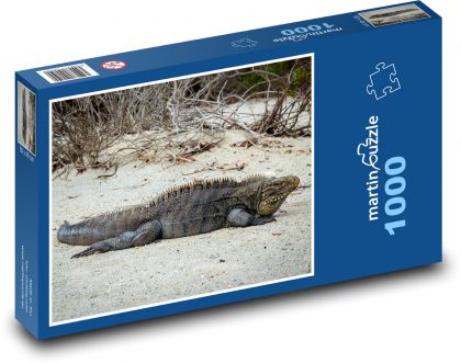 Leguán - jašterica, trópy - Puzzle 1000 dielikov, rozmer 60x46 cm