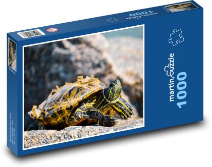 Schildkröte - Sommer, Sonne - Puzzle - 1000 Teile