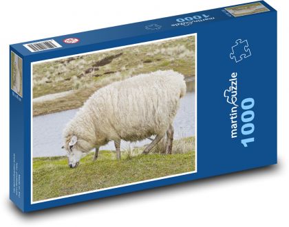 Sylt - Greece, sheep - Puzzle 1000 pieces, size 60x46 cm 