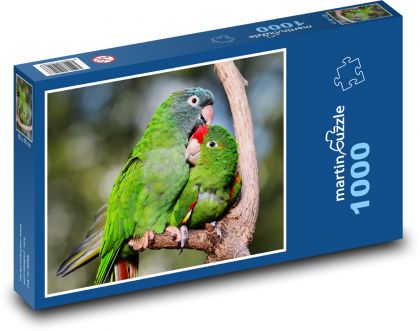 Parrots - birds, animals - Puzzle 1000 pieces, size 60x46 cm 