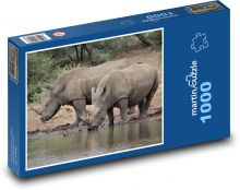 Nosorožec - zvíře, Afrika Puzzle 1000 dílků - 60 x 46 cm