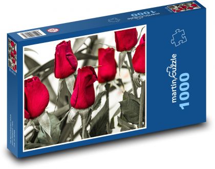 Růže - červené květiny, zahrada - Puzzle 1000 dílků, rozměr 60x46 cm