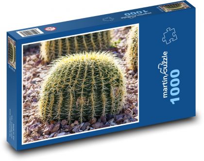 Kaktus - ostrý, květina - Puzzle 1000 dílků, rozměr 60x46 cm