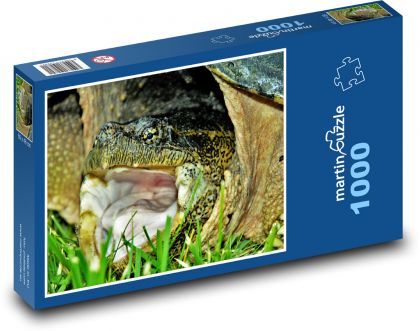 Schildkröte - Tier, Reptil - Puzzle - 1000 Teile
