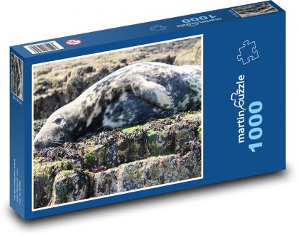 Uszczelka stożkowata - skały, zwierzę - Puzzle 1000 elementów, rozmiar 60x46 cm