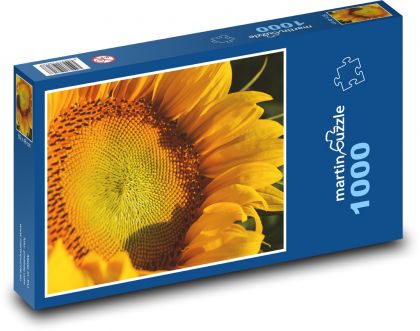 Sunflower - yellow flower, plant - Puzzle 1000 pieces, size 60x46 cm 