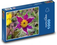 Lila Konisch Puzzle 1000 Teile - 60 x 46 cm