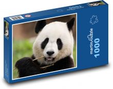Panda - zviera, cicavec Puzzle 1000 dielikov - 60 x 46 cm 