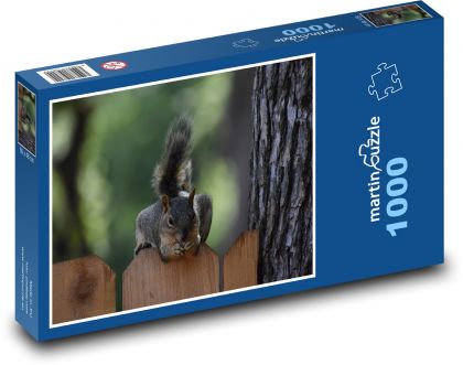 Eichhörnchen am Zaun - Puzzle - 1000 Teile