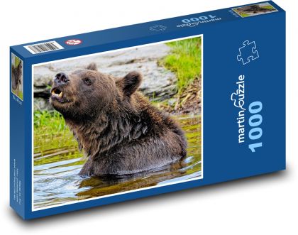 Medvěd ve vodě - grizly - puzzle 1000 dílků