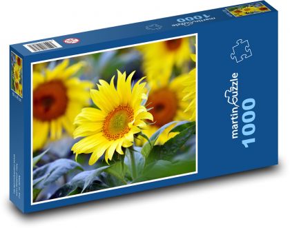 Sonnenblume - gelbe Blume - Puzzle - 1000 Teile