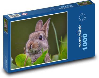 Králik na lúke - Puzzle 1000 dielikov, rozmer 60x46 cm