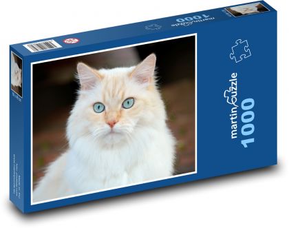 Biela domáca mačka - Puzzle 1000 dielikov, rozmer 60x46 cm