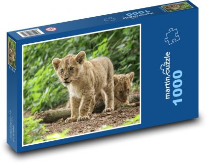 Lvíčata - mláďata - Puzzle 1000 dílků, rozměr 60x46 cm