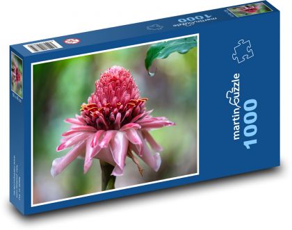 Waratah - Blume - Puzzle - 1000 Teile