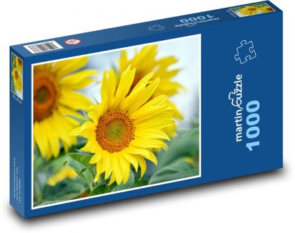 Kwitnący słonecznik - żółty kwiat - Puzzle 1000 elementów, rozmiar 60x46 cm