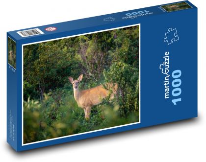 Jeleń w lesie - Puzzle 1000 elementów, rozmiar 60x46 cm