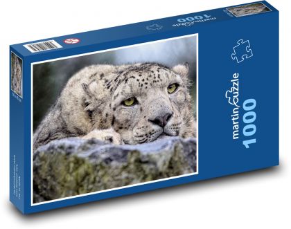 Snow Leopard - Puzzle 1000 pieces, size 60x46 cm 