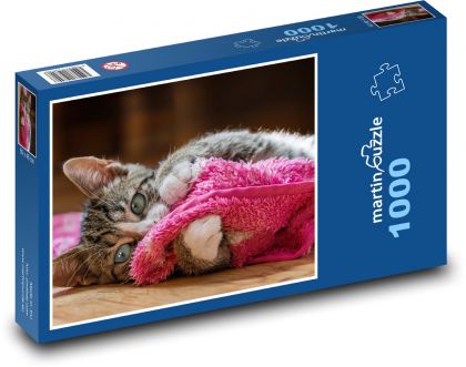 European Shorthair - Puzzle 1000 elementów, rozmiar 60x46 cm