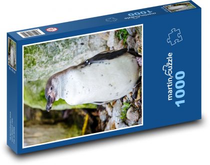 Tučňák - nelétavý pták - Puzzle 1000 dílků, rozměr 60x46 cm
