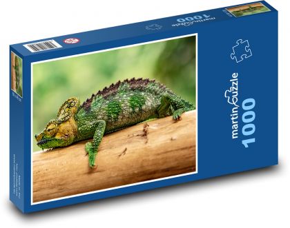 Zelený chameleón - Puzzle 1000 dílků, rozměr 60x46 cm
