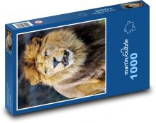 Lev - velká kočka, zvíře  Puzzle 1000 dílků - 60 x 46 cm