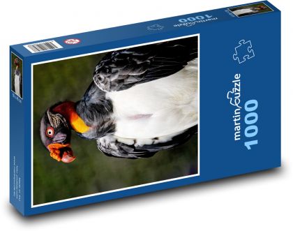 Sup - veľký čierny vták - Puzzle 1000 dielikov, rozmer 60x46 cm