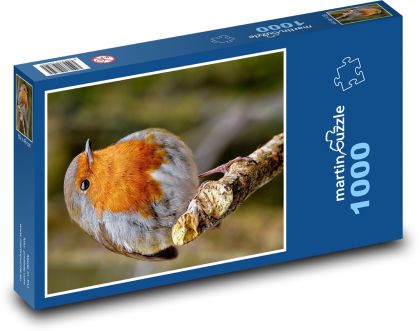 Červenka - ptak na gałęzi - Puzzle 1000 elementów, rozmiar 60x46 cm