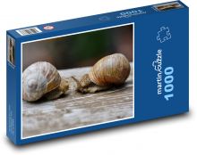 Šneci - zvířata, ulita  Puzzle 1000 dílků - 60 x 46 cm