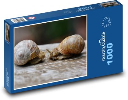 Šneci - zvířata, ulita  - Puzzle 1000 dílků, rozměr 60x46 cm