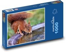 Picie czerwonej wiewiórki z fontanny - zwierzę Puzzle 1000 elementów - 60x46 cm