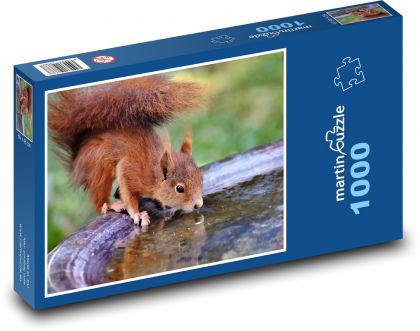 Picie czerwonej wiewiórki z fontanny - zwierzę - Puzzle 1000 elementów, rozmiar 60x46 cm