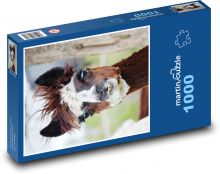 Lama - alpaka, zviera Puzzle 1000 dielikov - 60 x 46 cm 