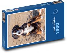Siedzący szczeniak - pies na plaży Puzzle 1000 elementów - 60x46 cm