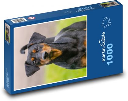 Hund - Tier, Haustier - Puzzle - 1000 Teile