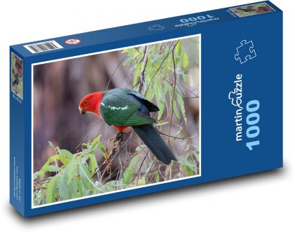 Australian royal parrot - a bird on a branch - Puzzle 1000 pieces, size 60x46 cm 