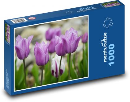 Purple tulips - spring flowers, garden - Puzzle 1000 pieces, size 60x46 cm 