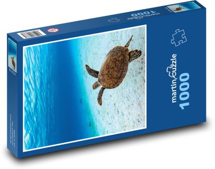 Żółw morski - Puzzle 1000 elementów, rozmiar 60x46 cm
