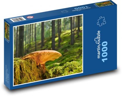 Huby na pni - les, príroda - Puzzle 1000 dielikov, rozmer 60x46 cm