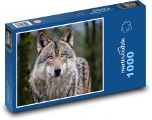 Vlk - zvíře, šelma Puzzle 1000 - 60x46 cm
